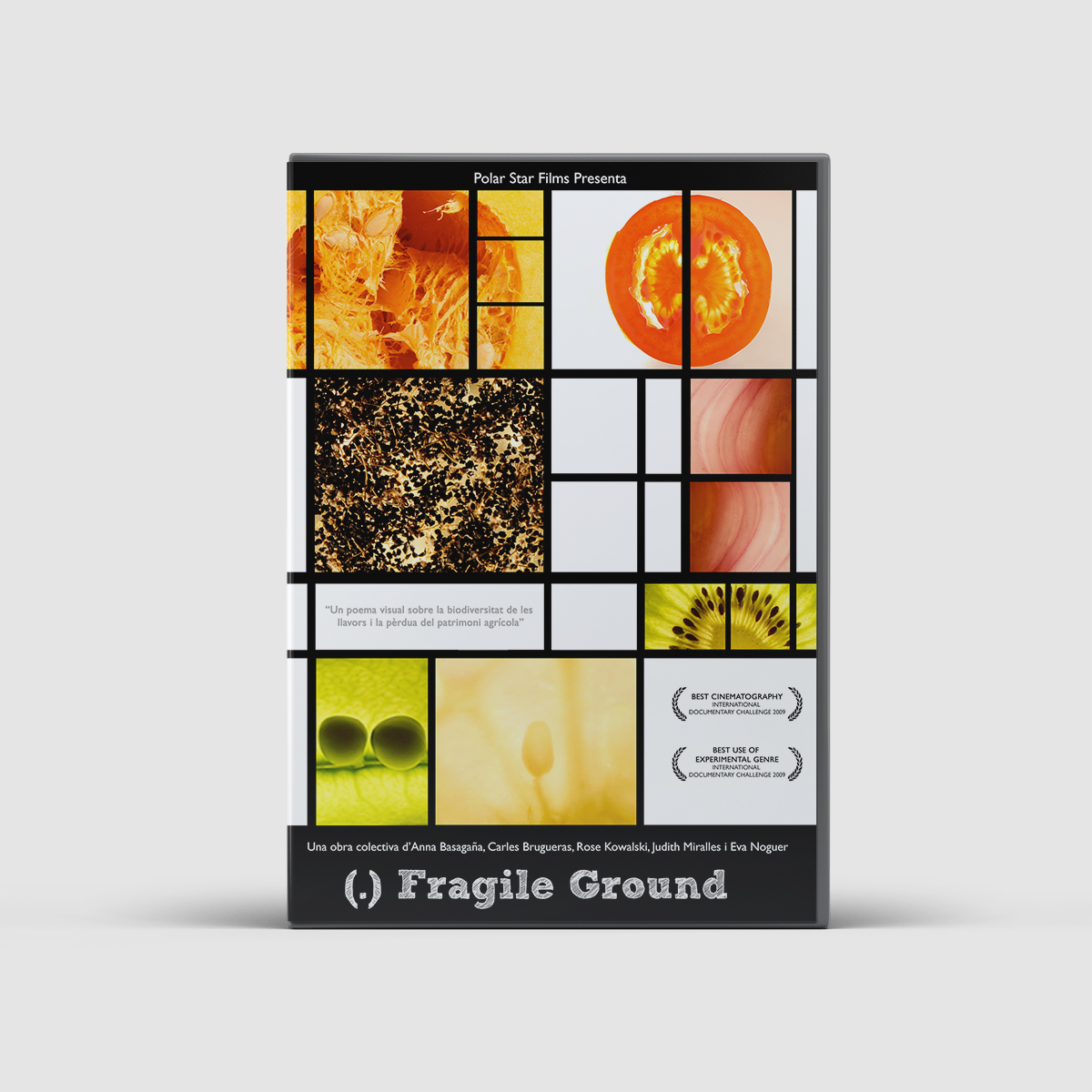 Fragile Ground DVD