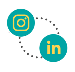 Feeds y stories Video para redes sociales